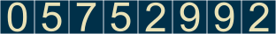 website counter