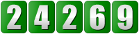 website hit counter