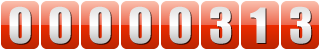 hit counter html