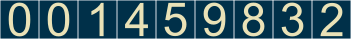 website counter