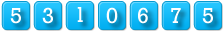 website hit counter